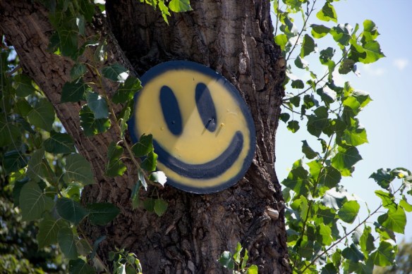 all-you-need-is-laugh